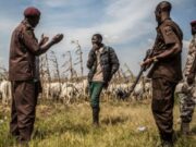 Opinion: Ethnic and Religious Profiling, The Rwanda and the Nigeria Experience