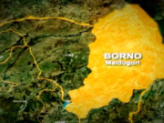 BREAKING: Boko Haram Attack Dikwa, Gajiram In Borno