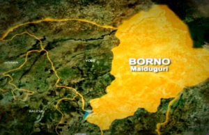 BREAKING: Boko Haram Attack Dikwa, Gajiram In Borno