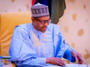 What Nigeria Needs at This Time is Iron and Steel. An Alchemy of GMB and PMB | Femi Adesina