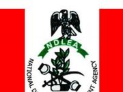 Recruitment: NDLEA releases final list, asks successful candidates to report for training