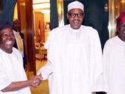 Bisi Akande: Beatifying Buhari In A Season Of The Butcherbird By Festus Adedayo