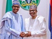 Emefiele The Tortoise Wants To Marry The King’s Daughter |Festus Adedayo