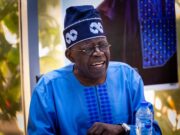 2023: Peter Obi’s Euphoria Is A Flash In The Pan, Nigerian Youths Will Vote Massively For Tinubu – Olaosebikan