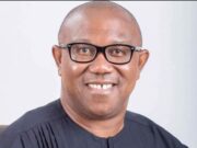 Peter Obi as Nigeria’s Rosa Parks By Festus Adedayo