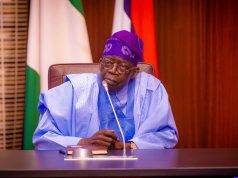 Tinubu, Atiku as Awodi and Opeere birds in feather-plucking war by Festus Adedayo