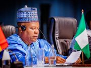Senator Alli Greets VP Shettima at 57, Eulogises his leadership qualities, dedication to Nigeria